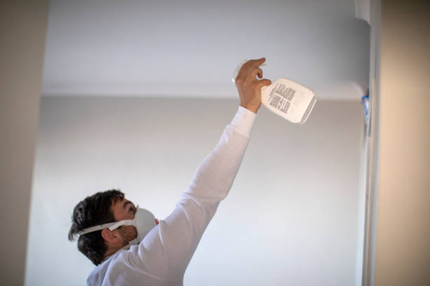 Best Fast Mold Removal  in Shasta, CA