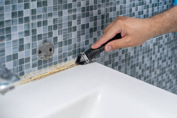 Best Emergency Mold Removal  in Shasta, CA